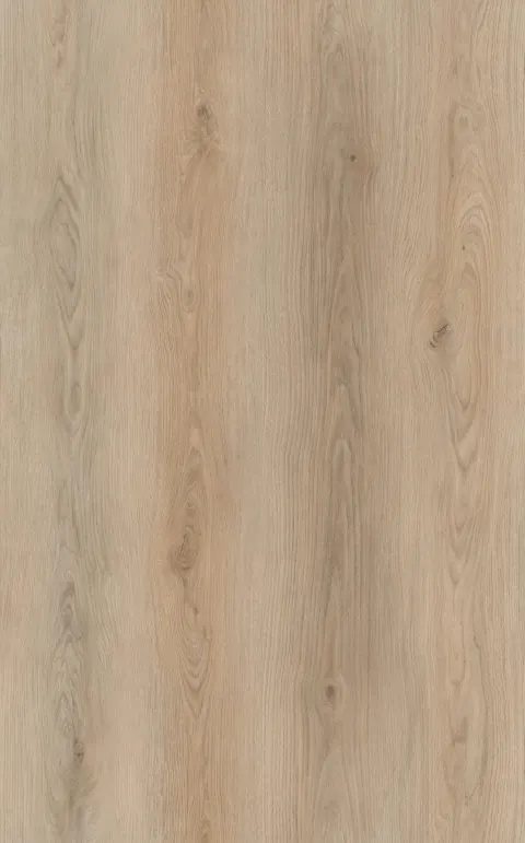 Eternity Plank Click