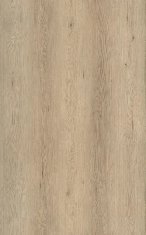 Luciano Plank Click