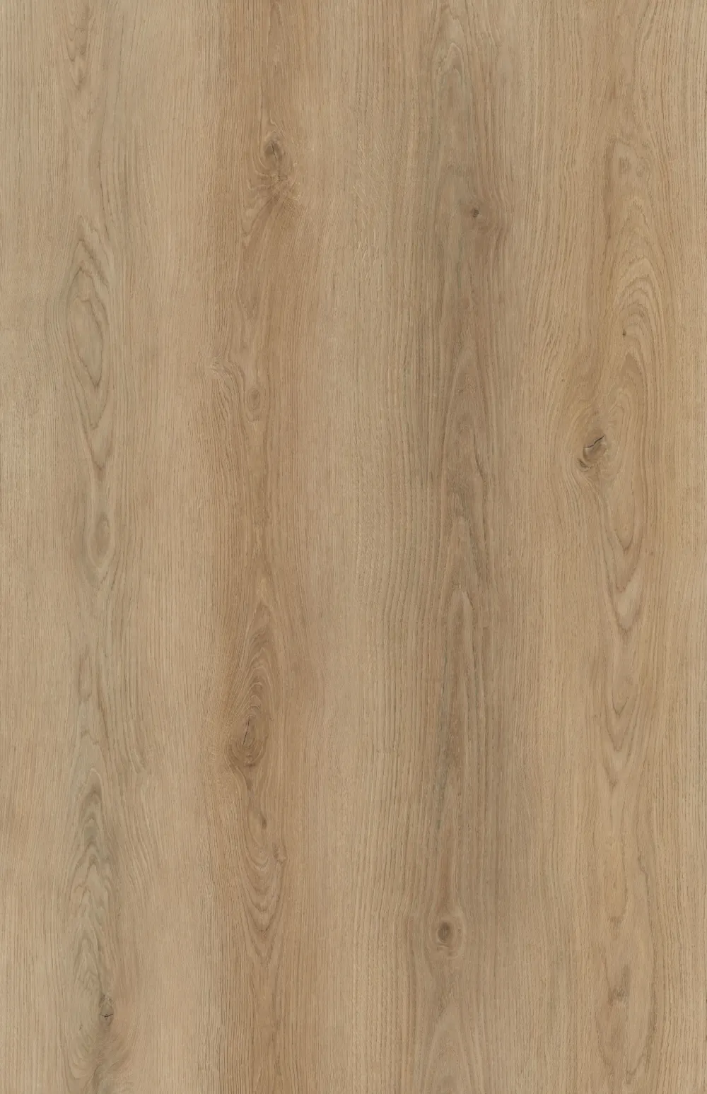 Garonne Plank Dry-Back