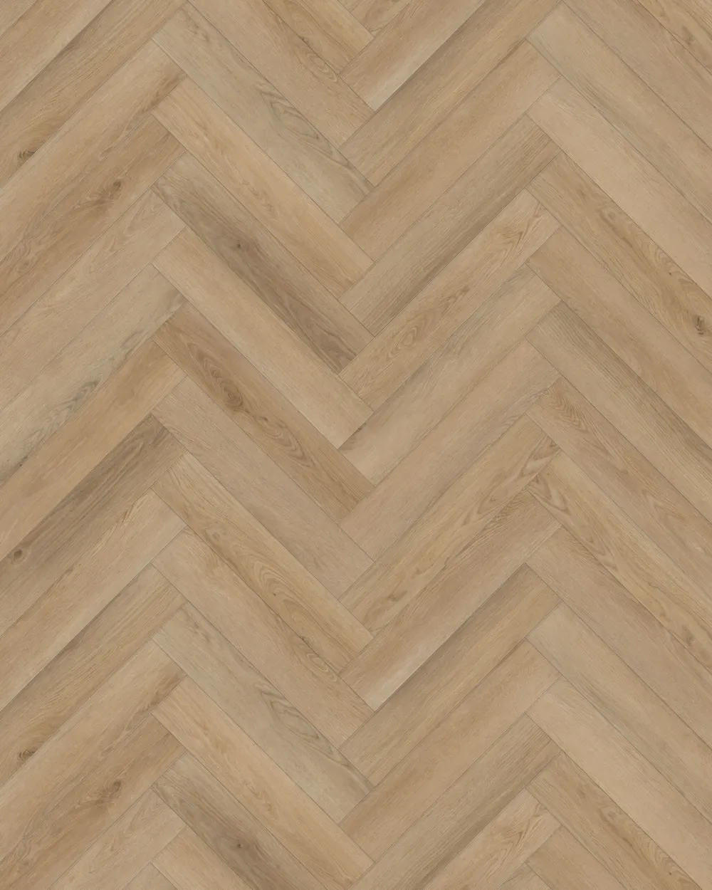 Garonne Visgraat Dry-Back