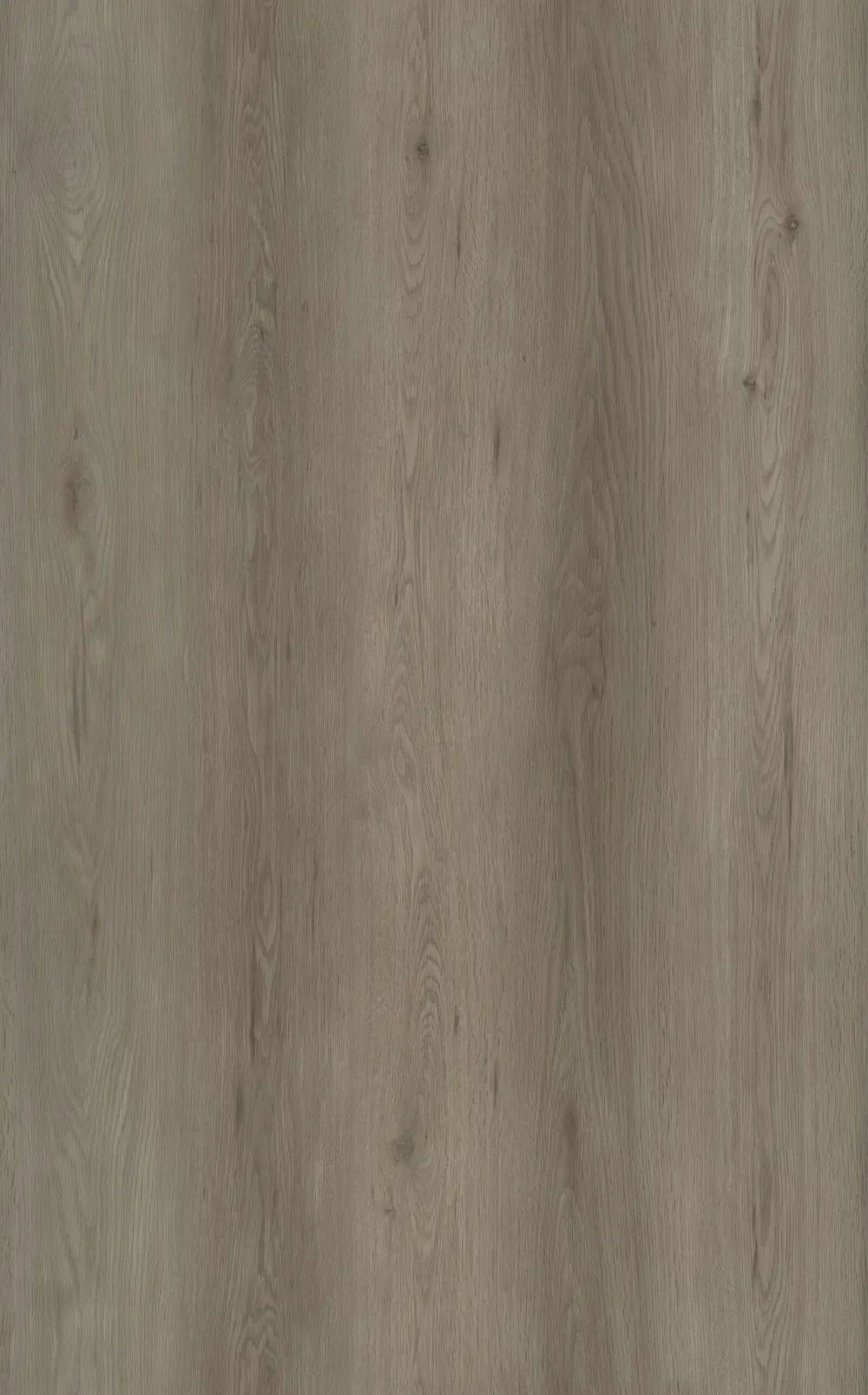 Sancy Plank Click
