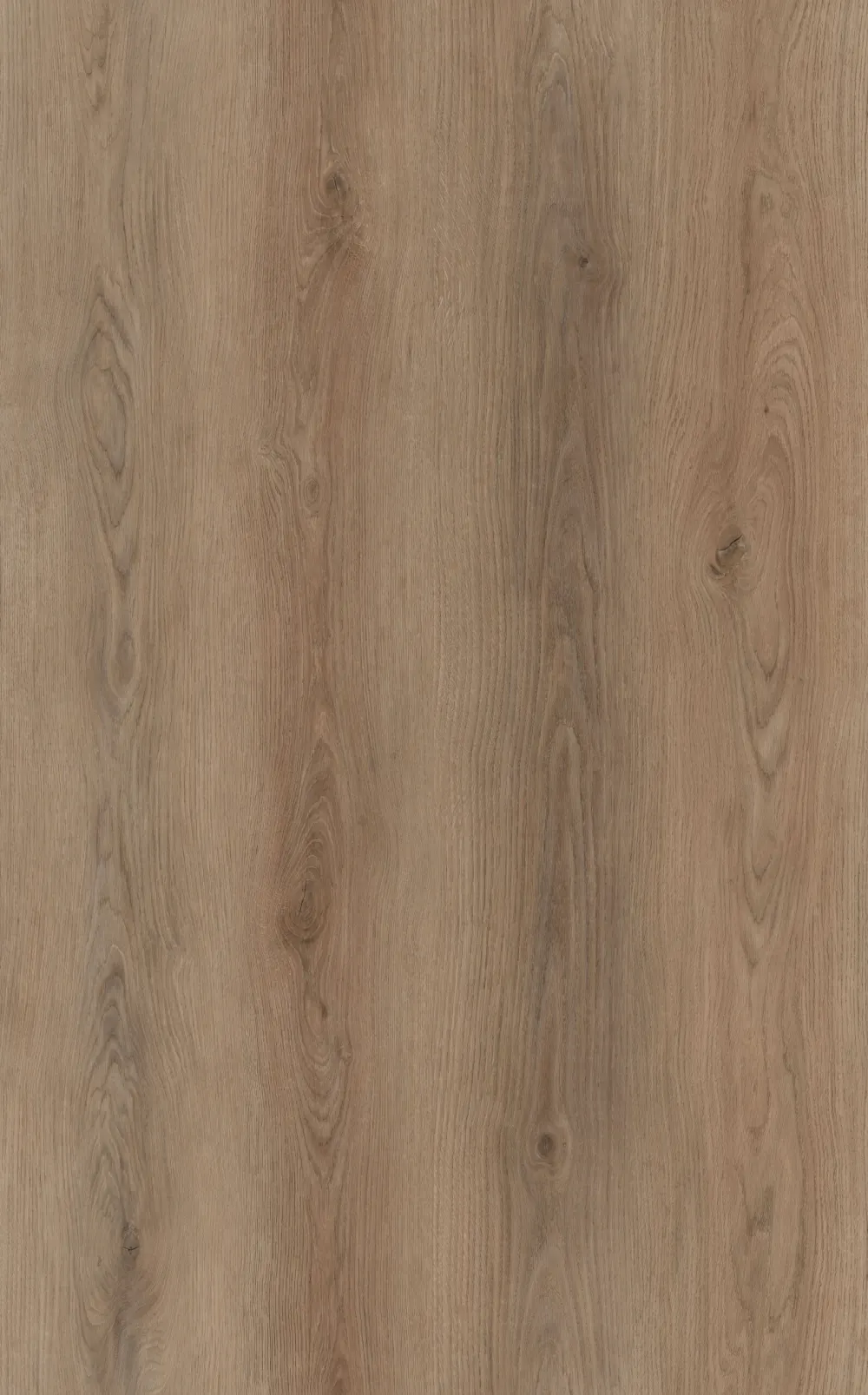 Sierra Plank Click