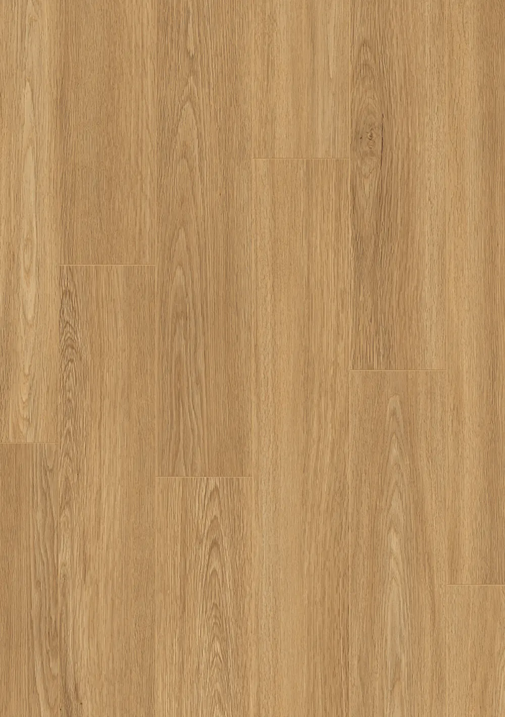 Rose Basic 6003