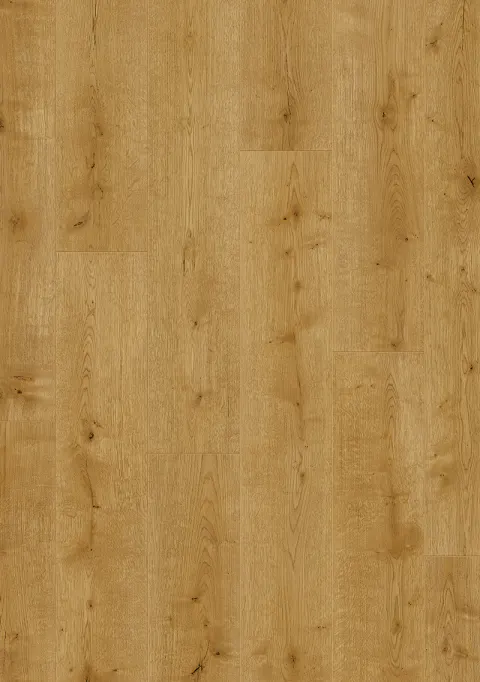Rose Basic 6011