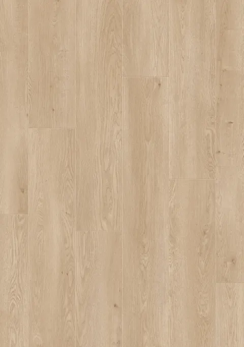 Rose Hydro 60542