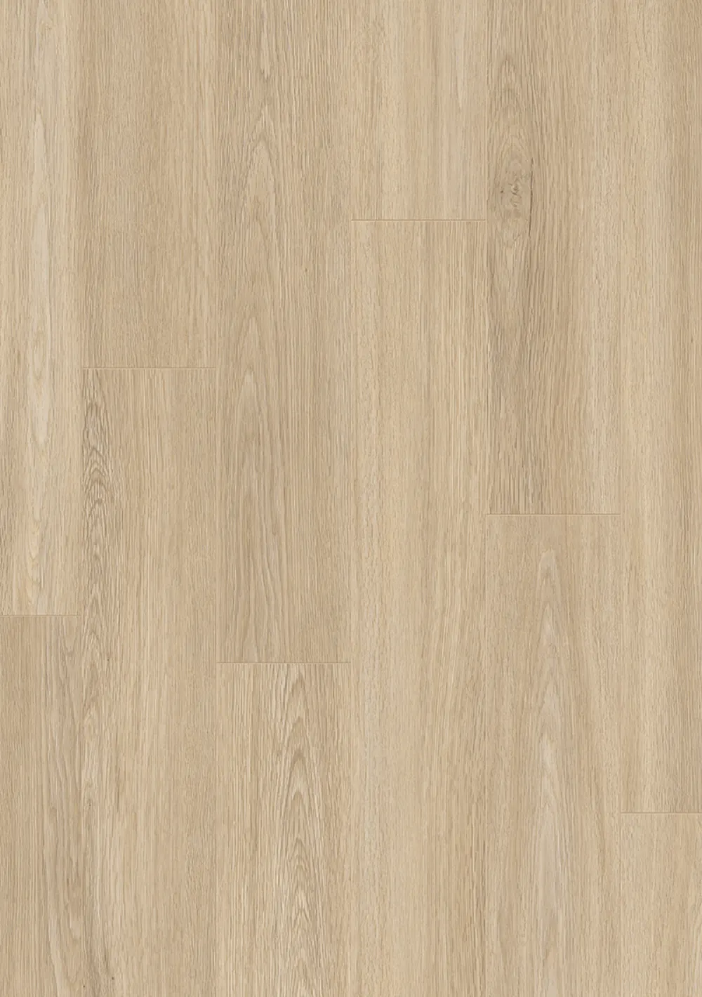 Rose Basic 6005