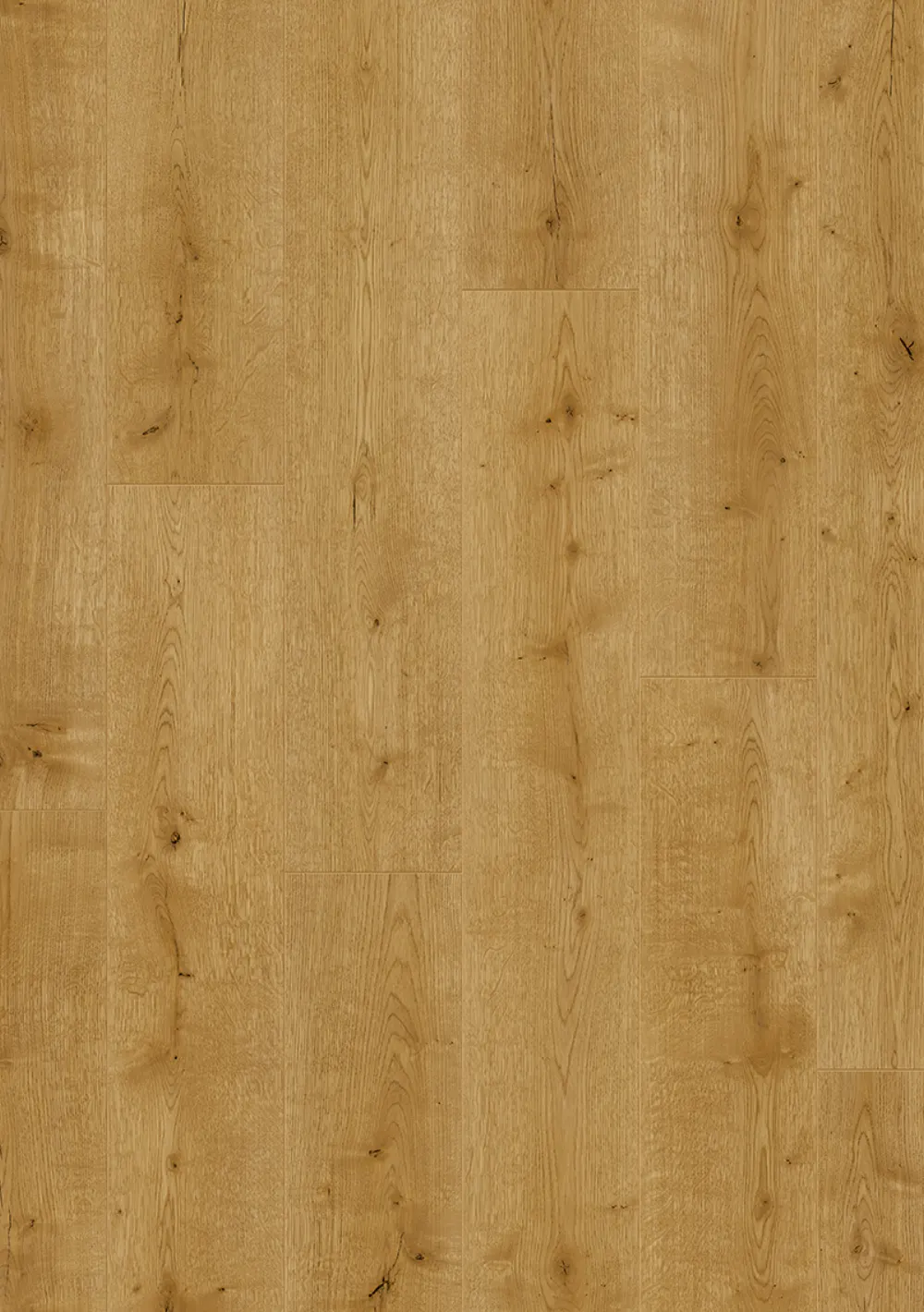 Rose Basic 6011