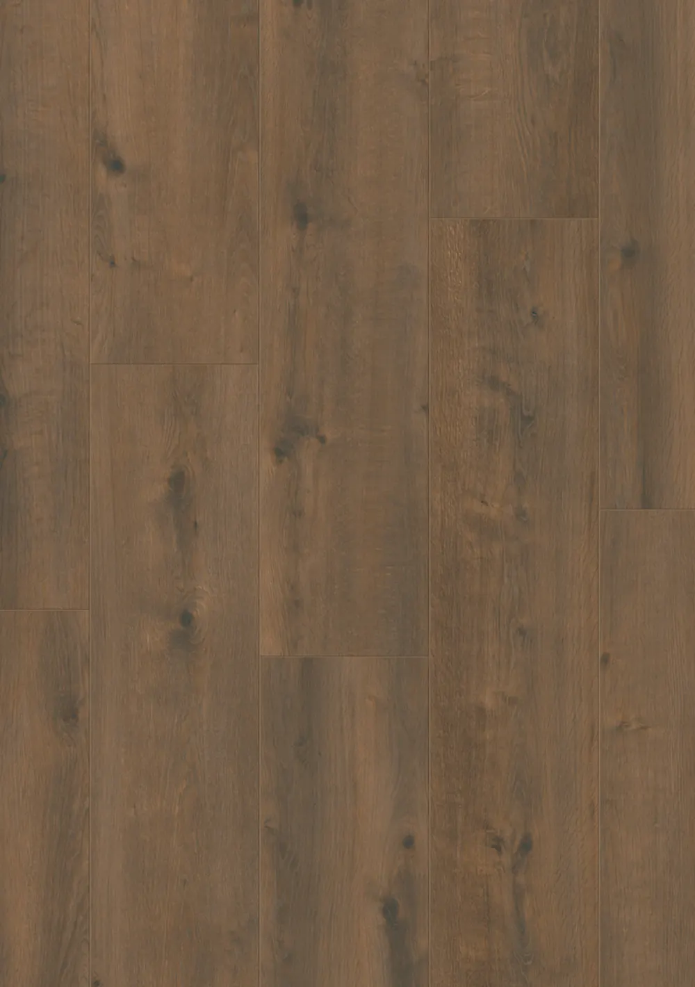 Rose Wide Hydro 5469