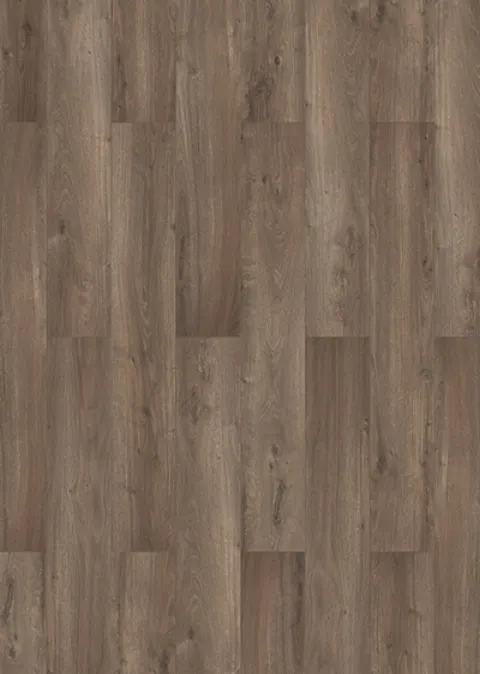Lungo 62964