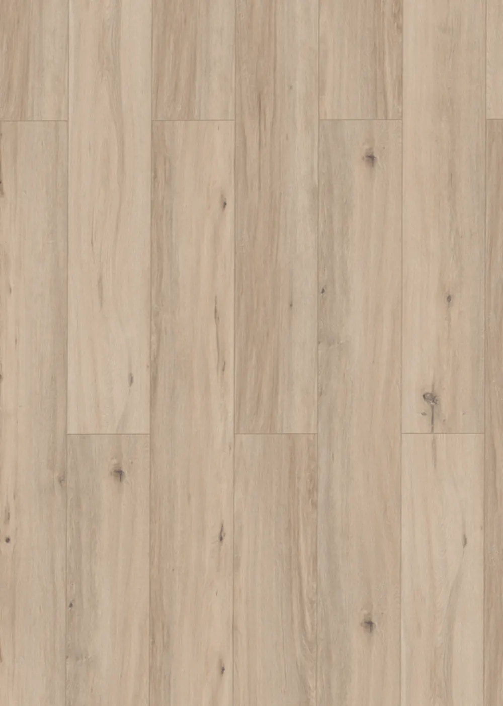 Lungo 62960
