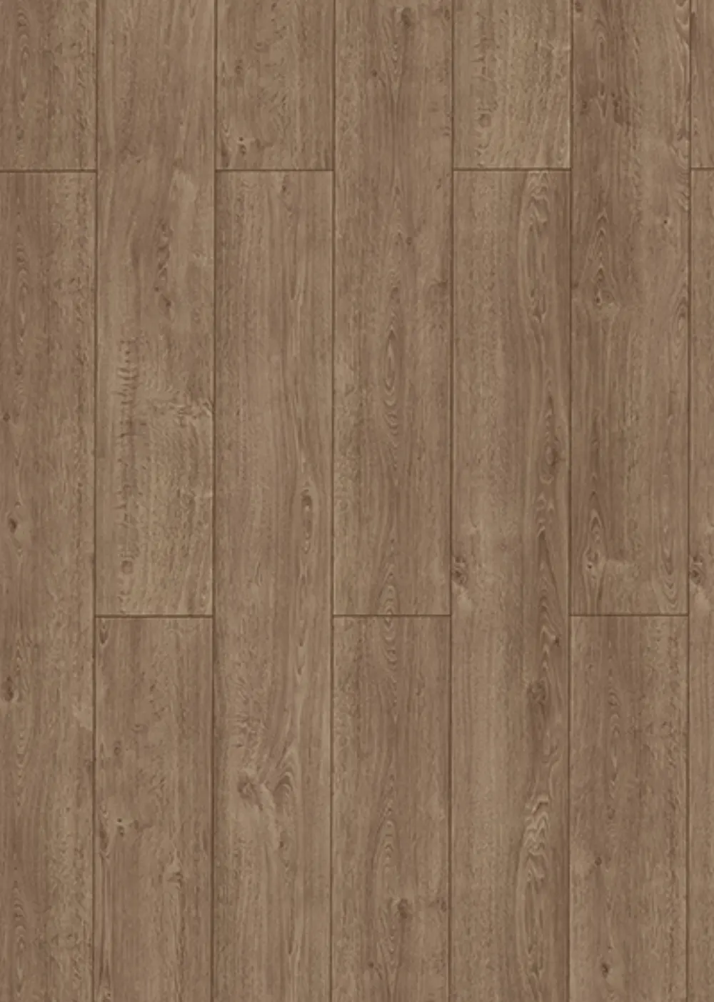Lungo 62966