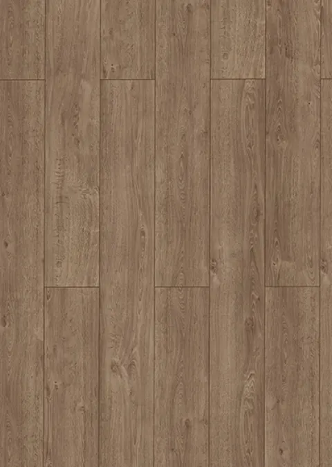 Lungo 62966