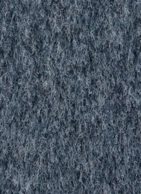 Olympia 2531