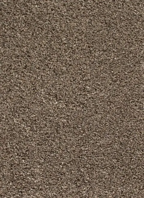 Shakespeare 94