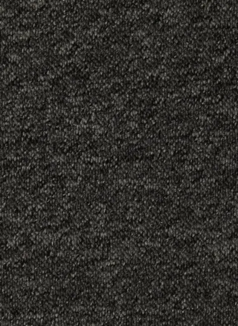 Spectrum New 77