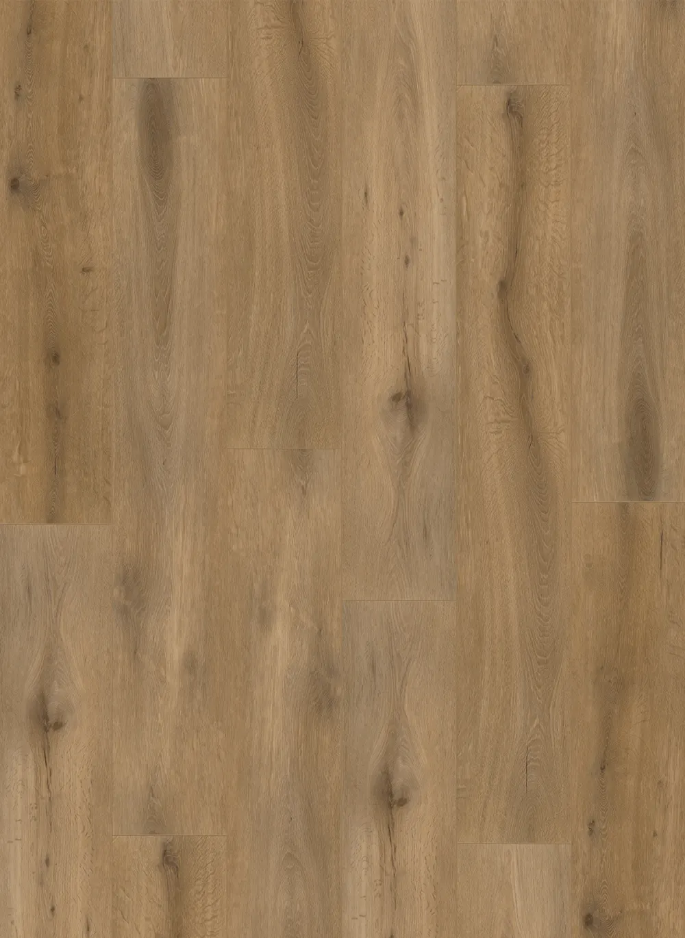 Callisto 4102 (dryback)