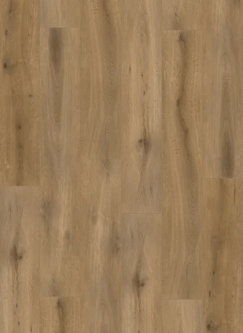 Callisto 5102 (rigid click)