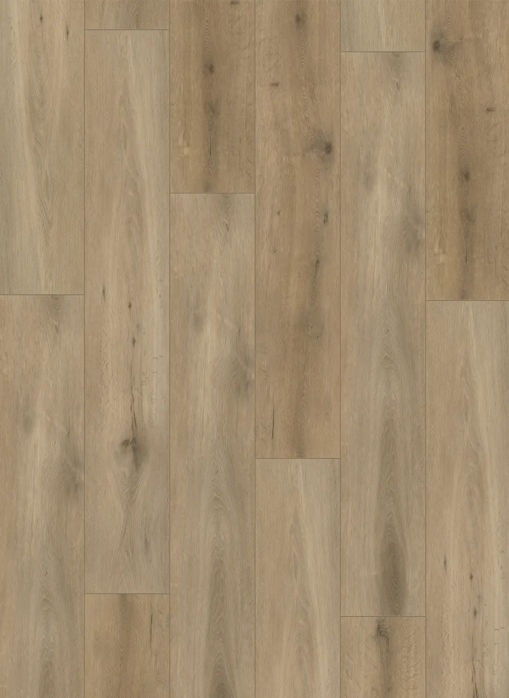 Callisto 5103 (rigid click)