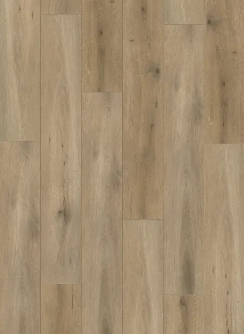 Callisto 5103 (rigid click)