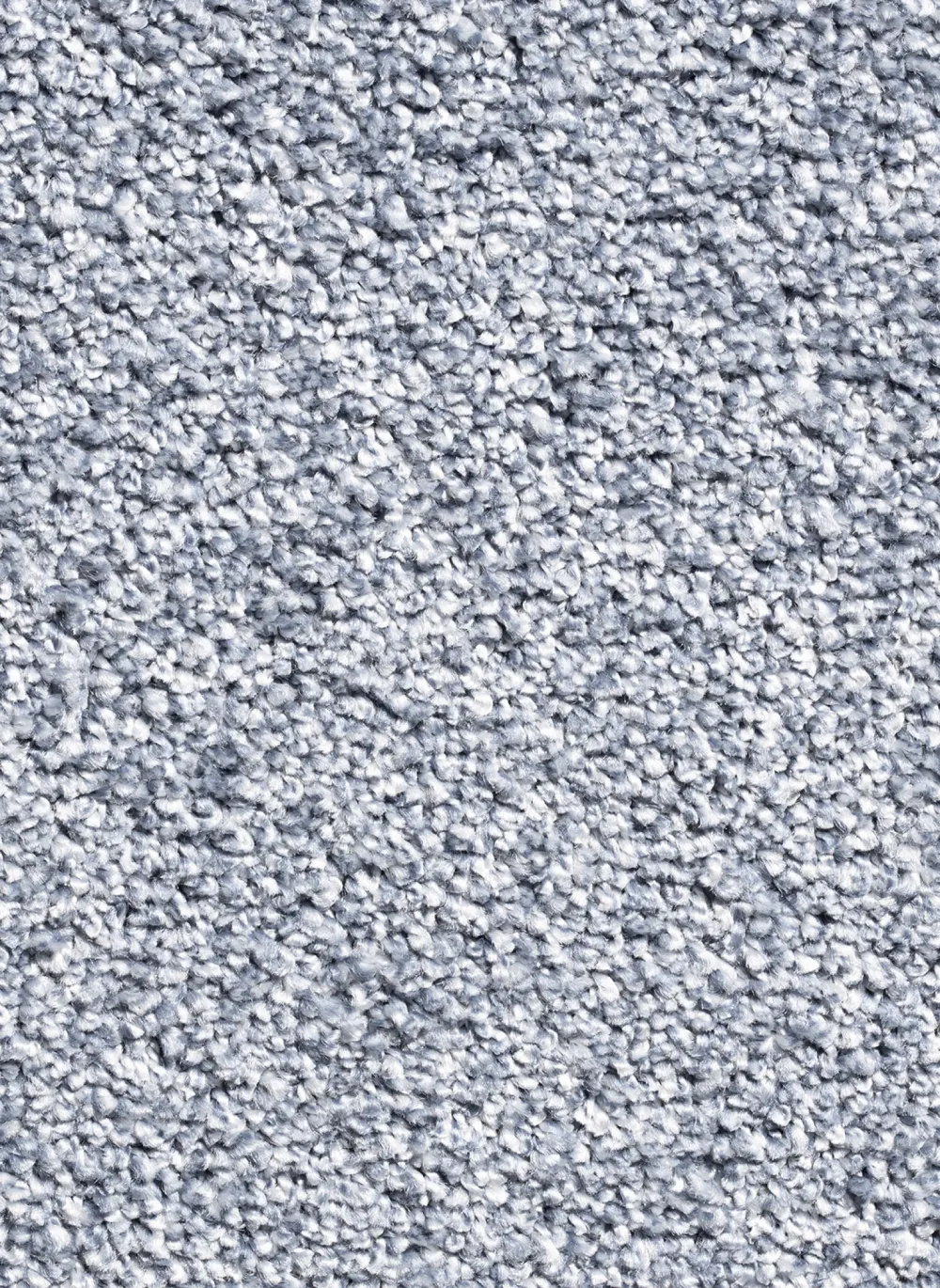 Picasso 81