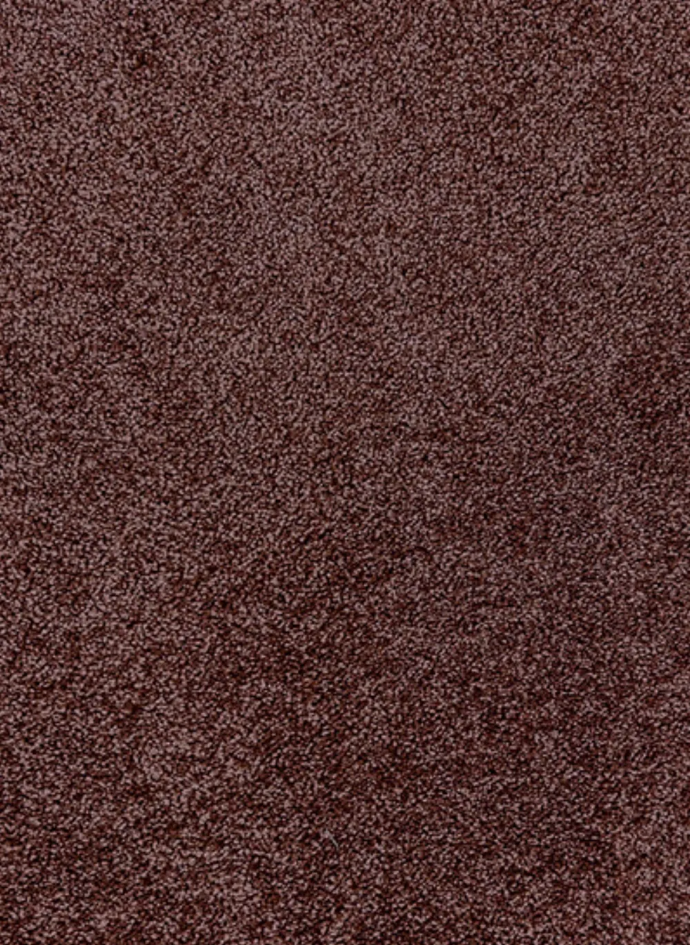 Ecolution SDN 66
