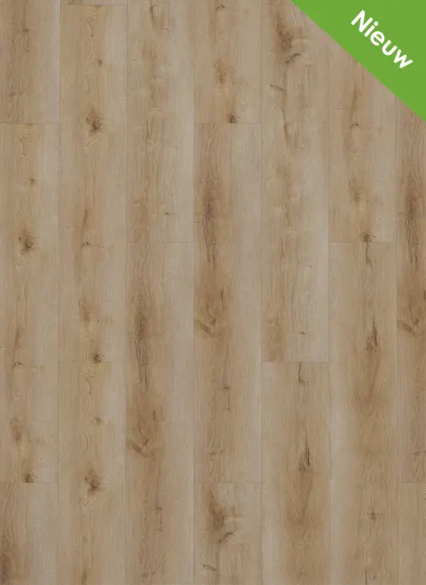 Dynamic 3501 (rigid click)