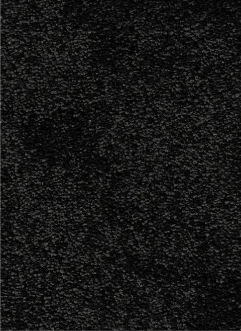 Atlas 79