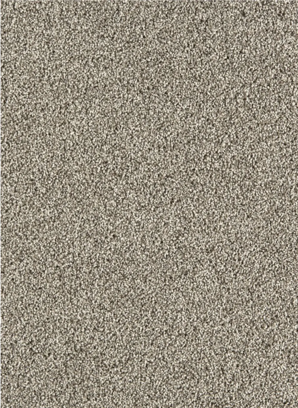 Massiv SDN 38