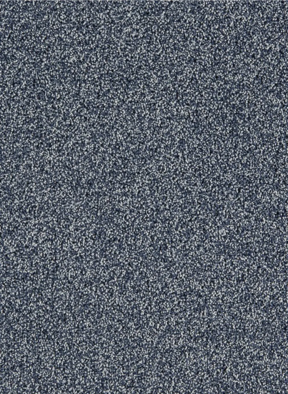 Massiv SDN 79