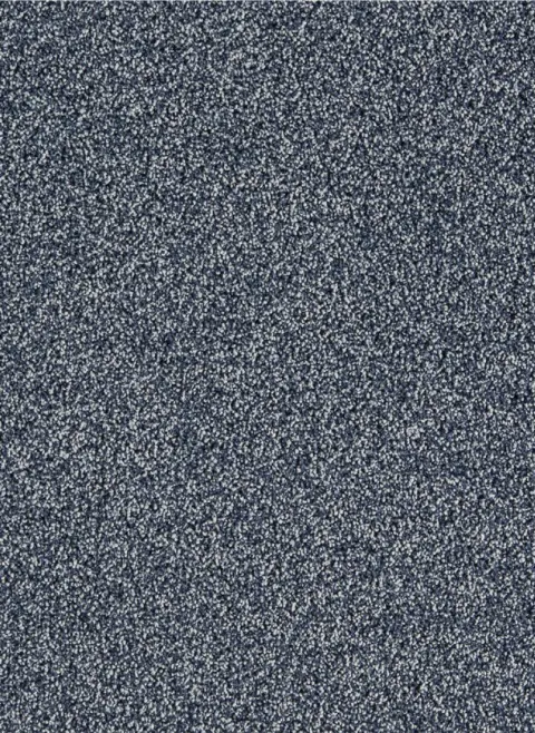 Massiv SDN 79