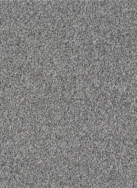 Massiv SDN 95