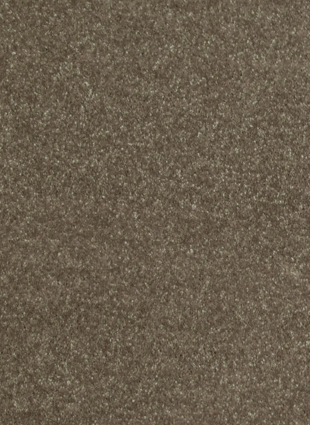 Luxor 141