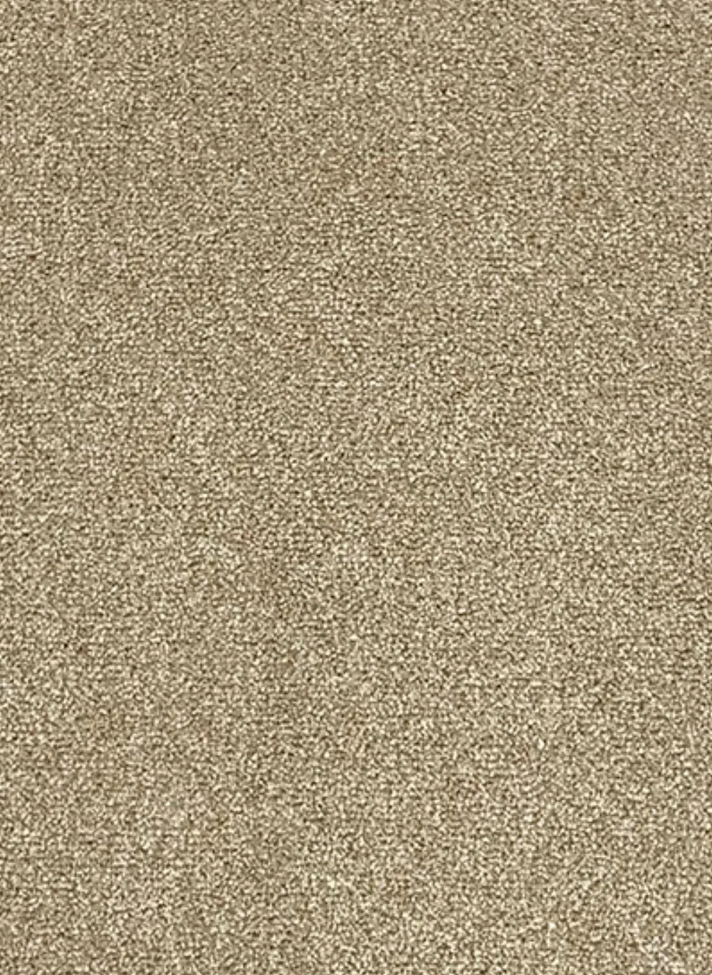 Da Vinci 91