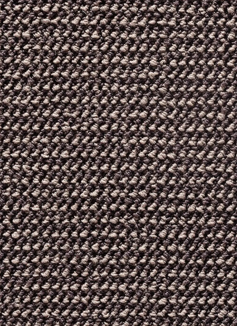 Rivoli SDN 43