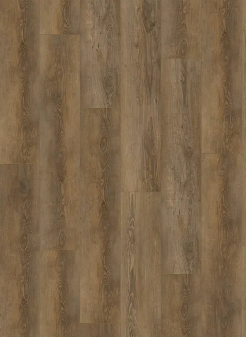 City 4604 (dryback)