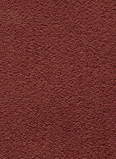 Castana 60