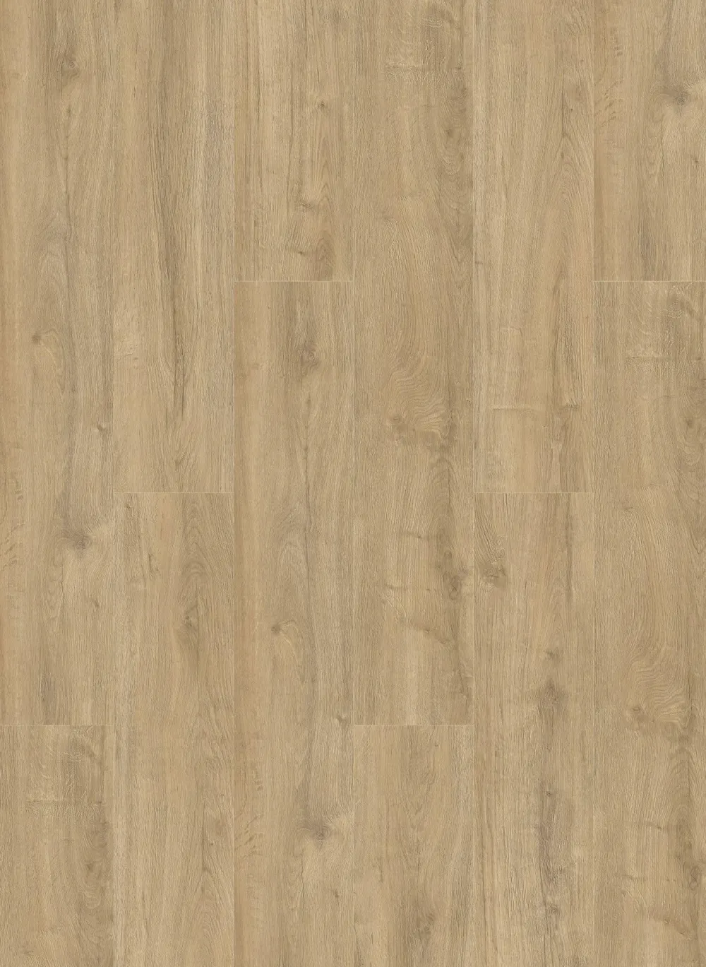Oakland 6104 (dryback)