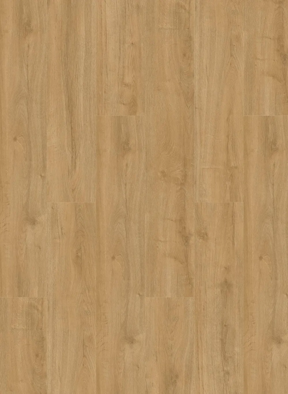 Oakland 6101 (dryback)