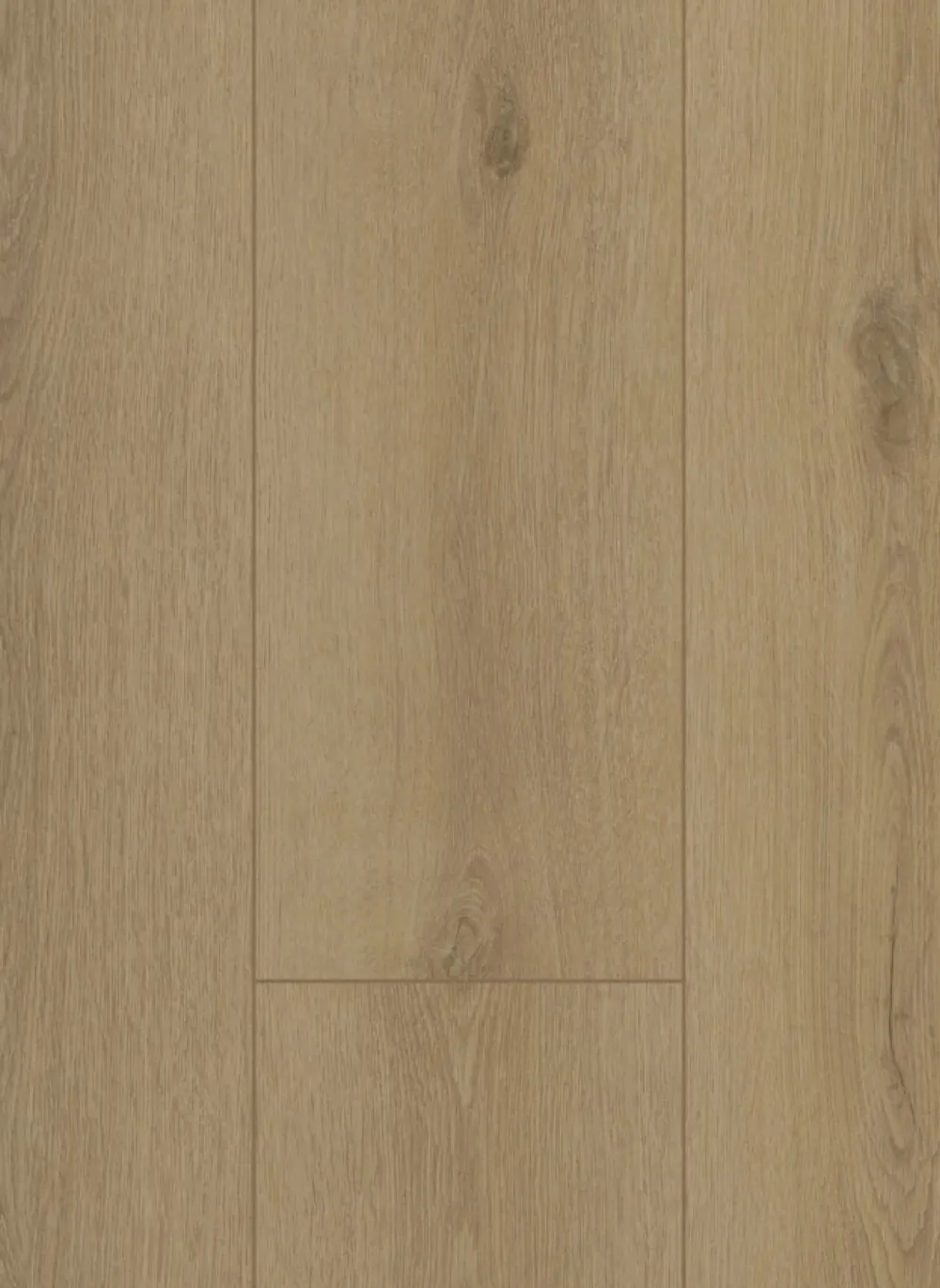 Firmfit 6501 (dryback)
