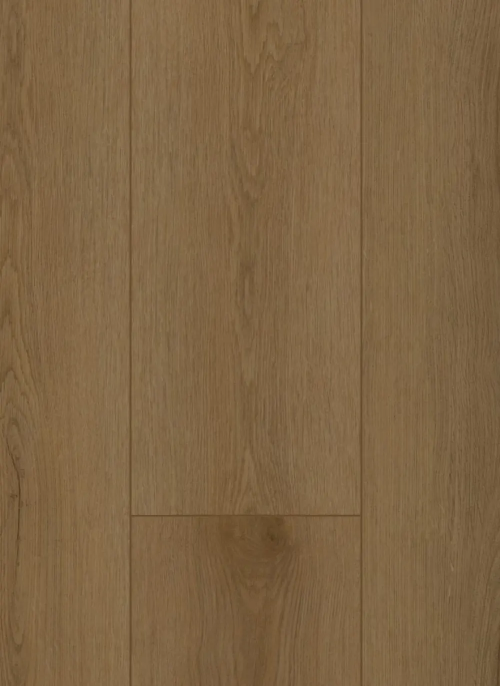 Firmfit 6503 (dryback)