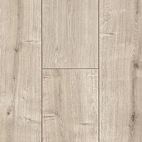 Rose 60017