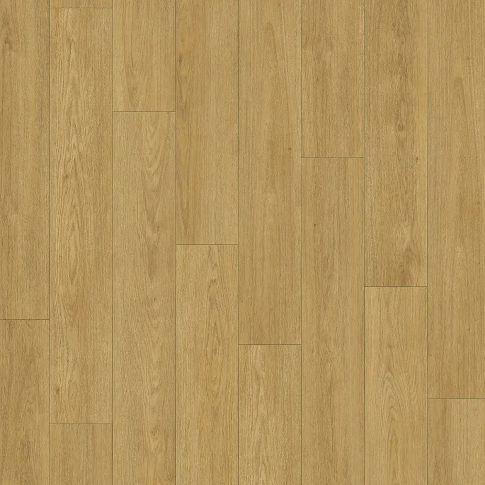 DD Brede Plank Kaviaar 24,3 cm, 4Mv