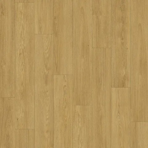 DD Brede Plank Kaviaar 24,3 cm, 4Mv