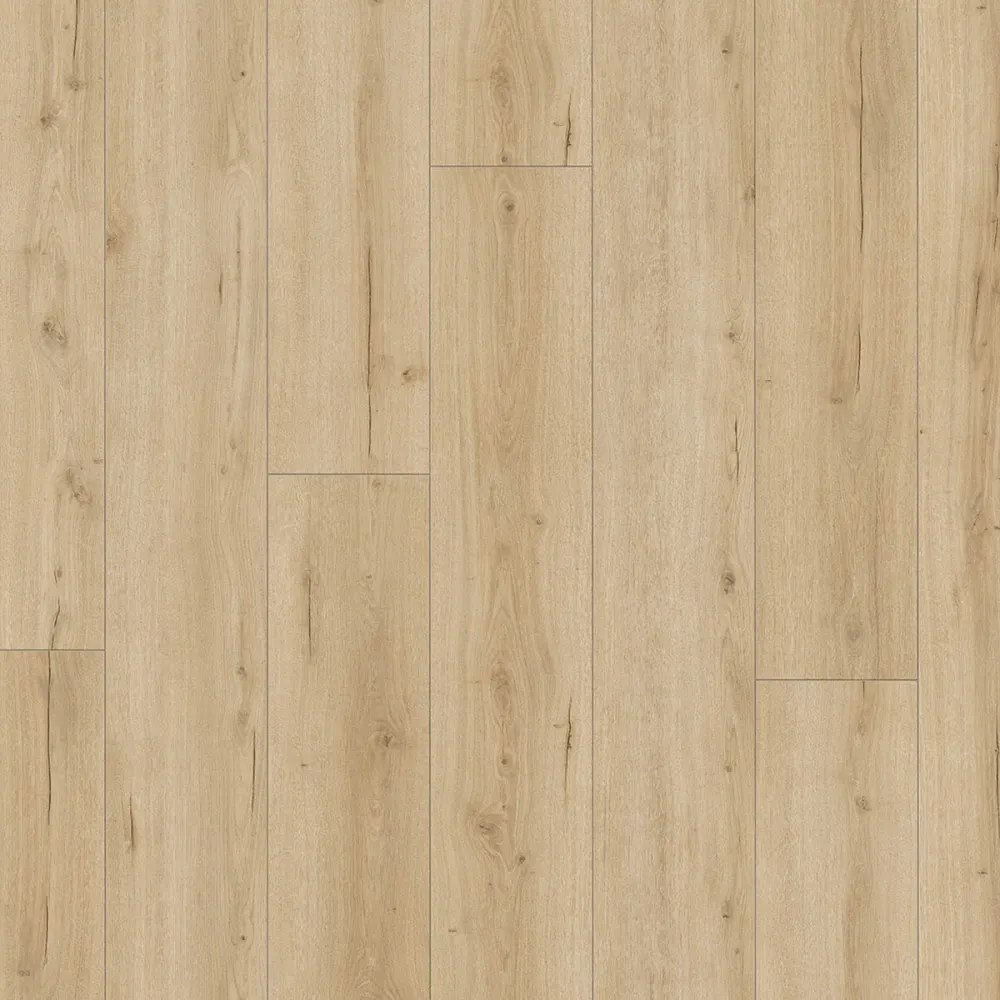 DD Brede Plank Vijg 24,3 cm, 4Mv