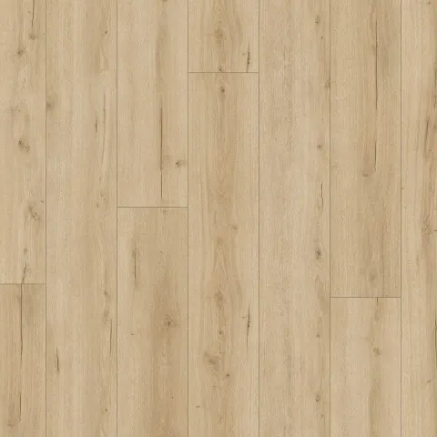 DD Brede Plank Vijg 24,3 cm, 4Mv