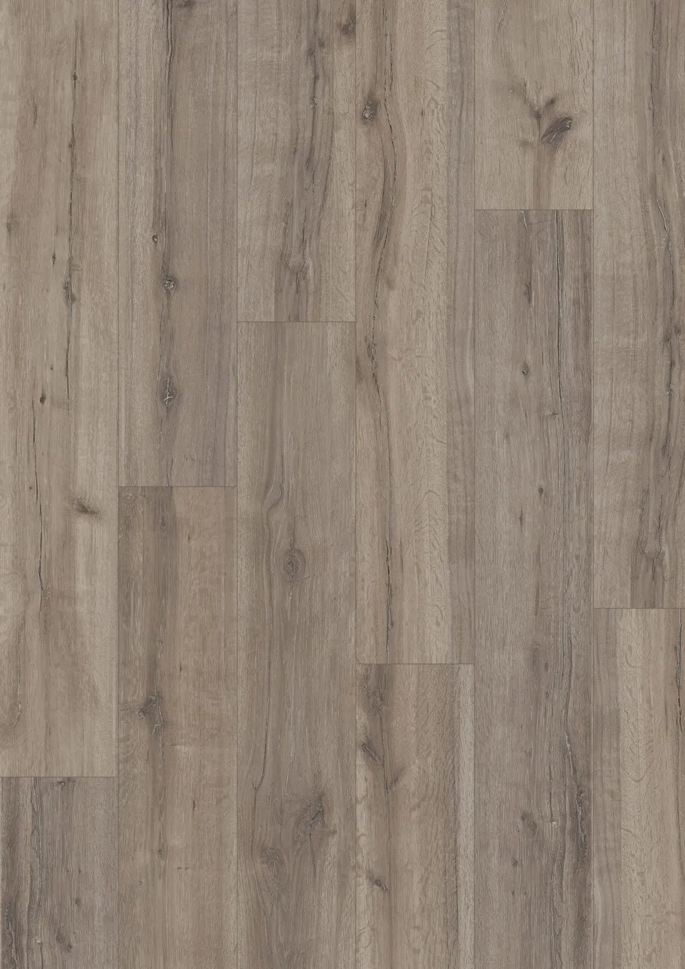Grey Oak