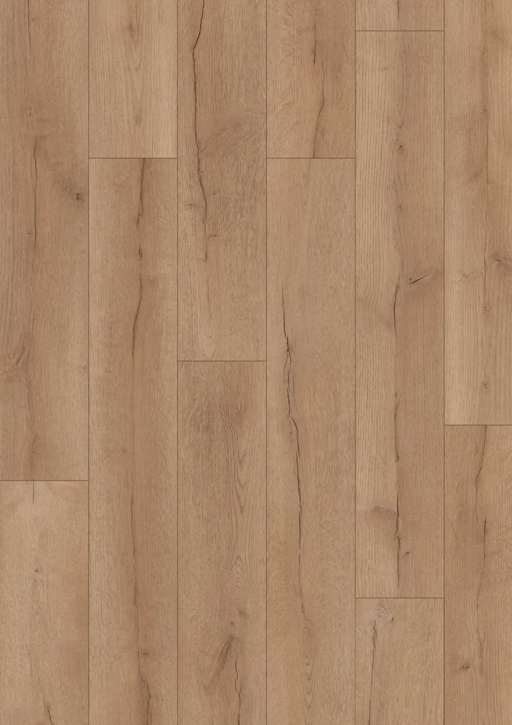 Nevado Oak
