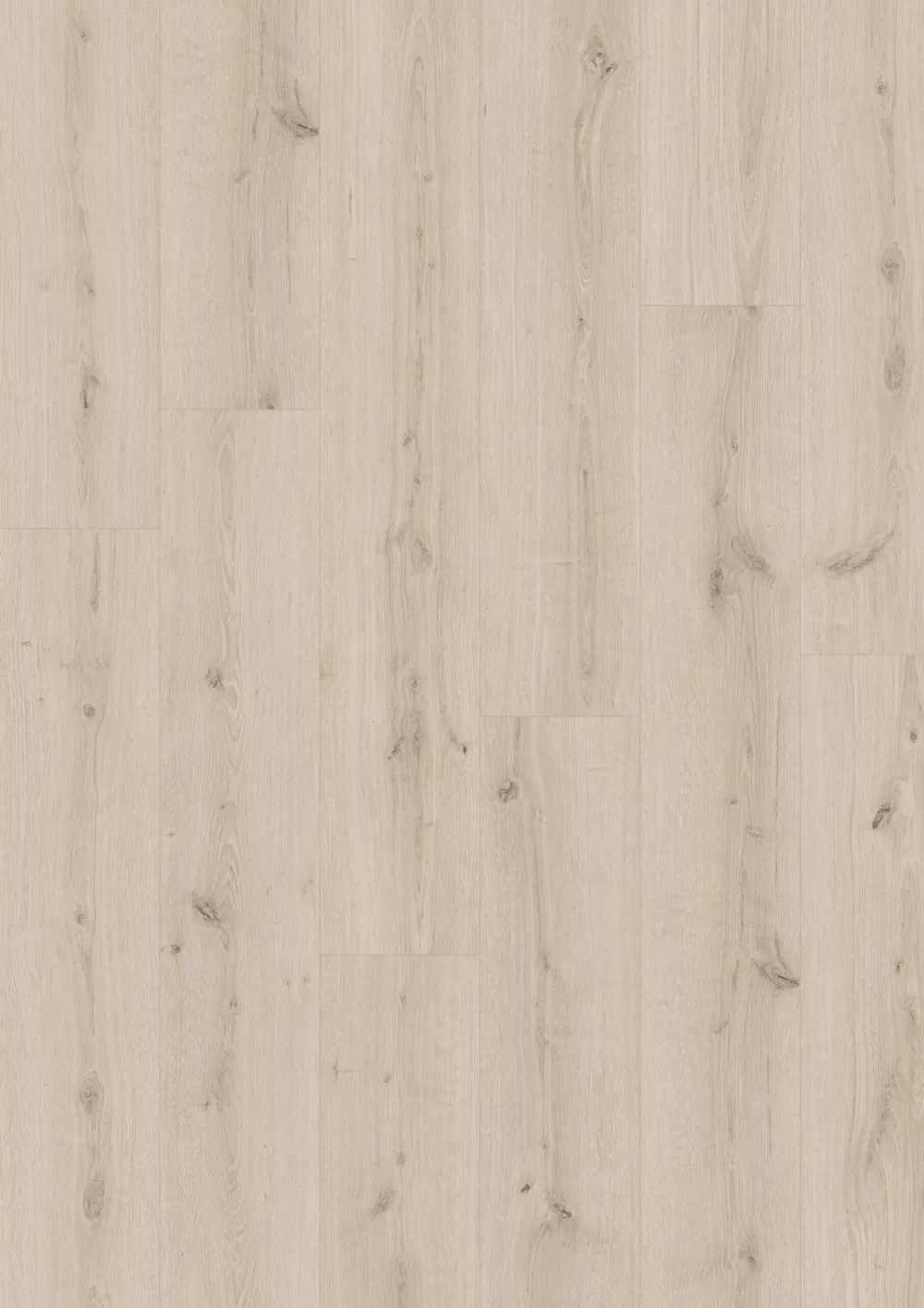 Toreneik Crèmewit