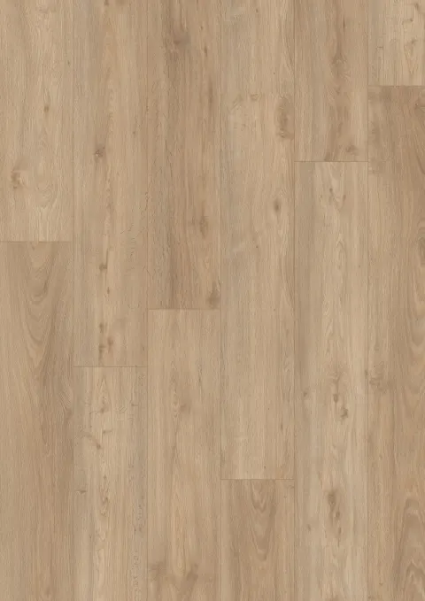 Kingdom Oak