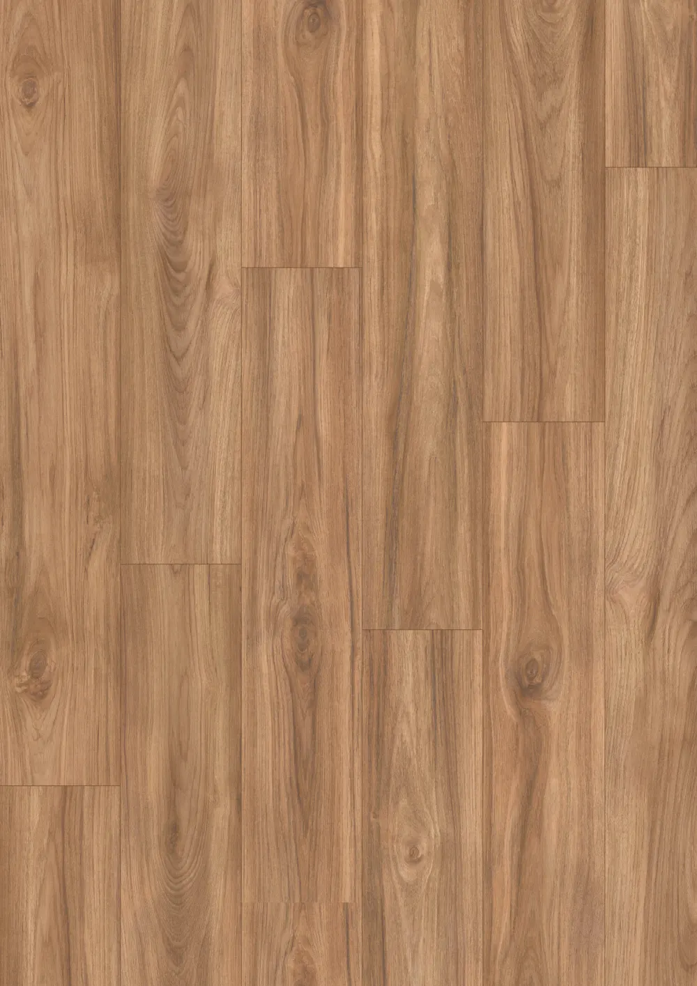 Teak